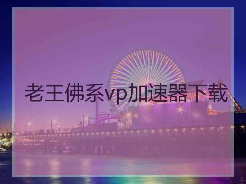 老王佛系vp加速器下载