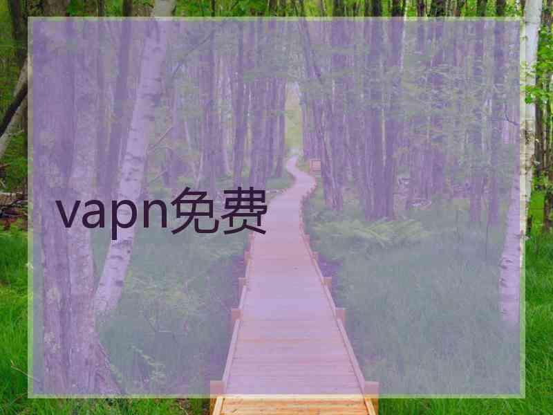 vapn免费