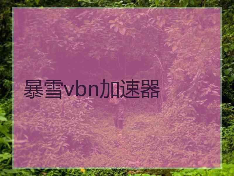 暴雪vbn加速器