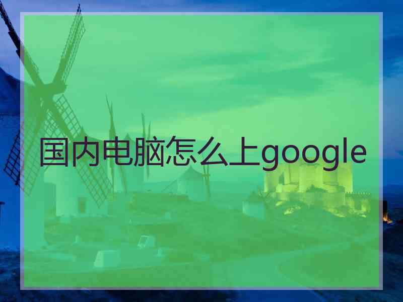 国内电脑怎么上google