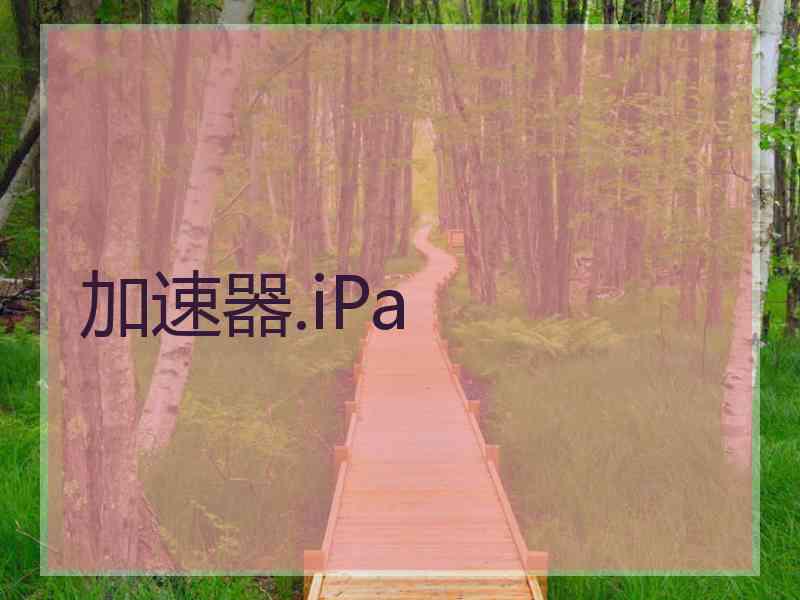 加速器.iPa