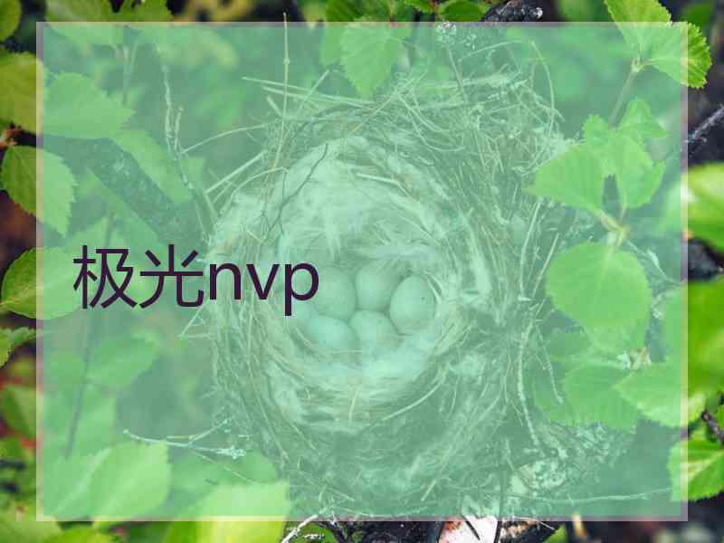 极光nvp