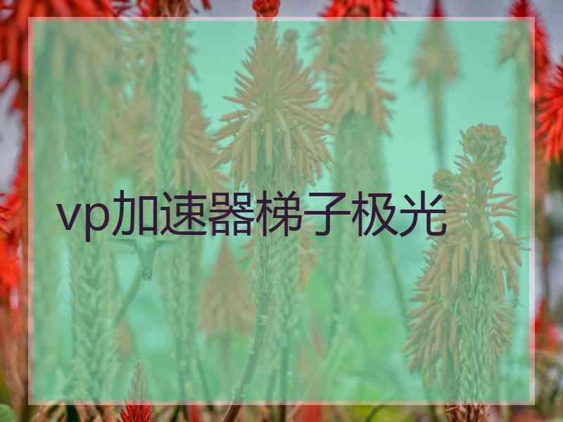 vp加速器梯子极光