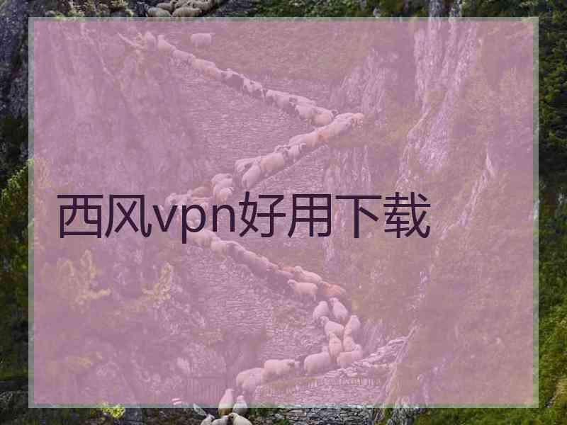 西风vpn好用下载