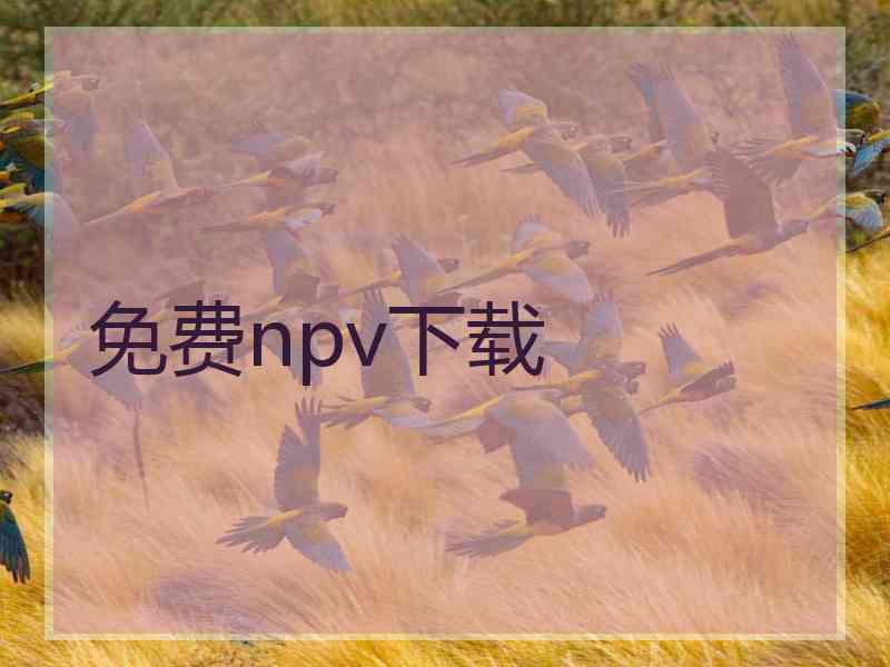 免费npv下载