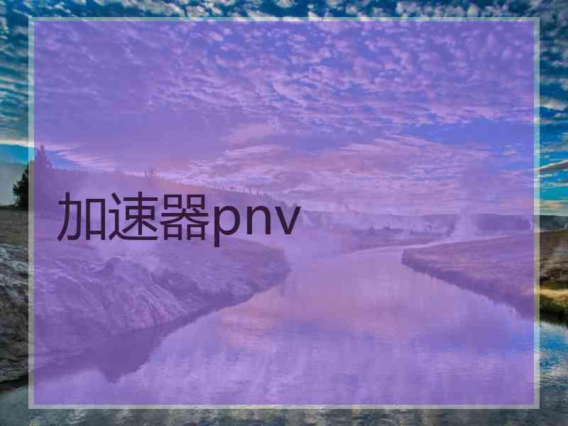 加速器pnv