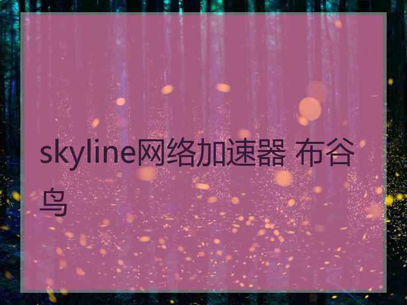 skyline网络加速器 布谷鸟