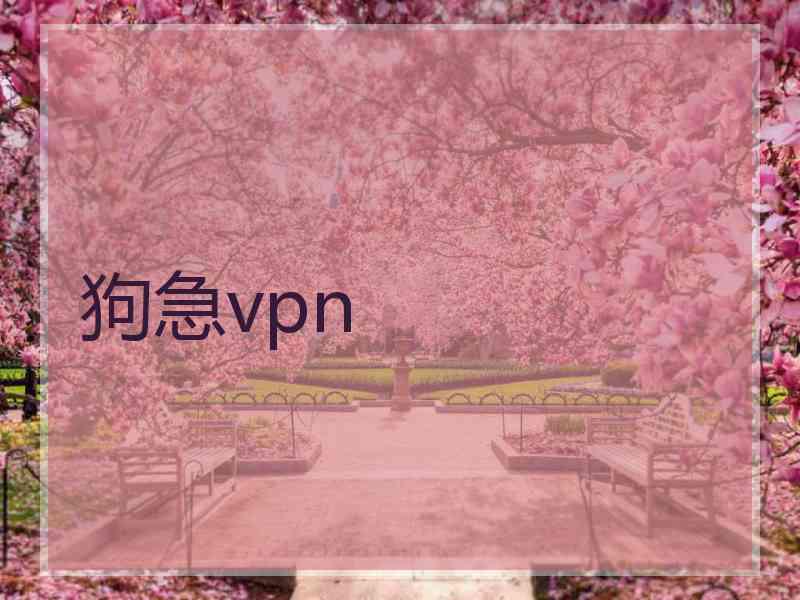 狗急vpn