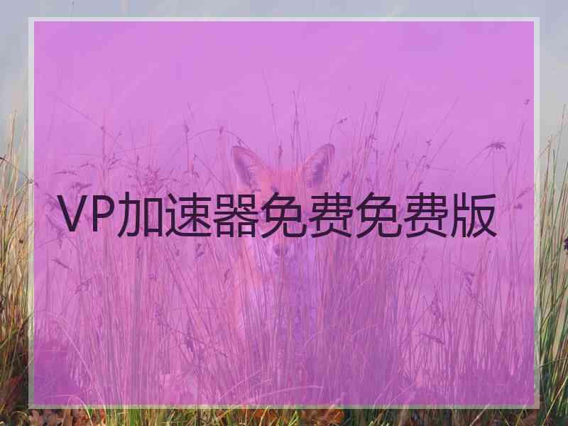 VP加速器免费免费版