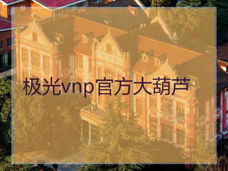 极光vnp官方大葫芦