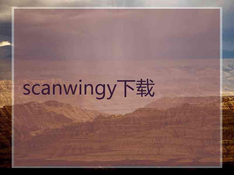 scanwingy下载