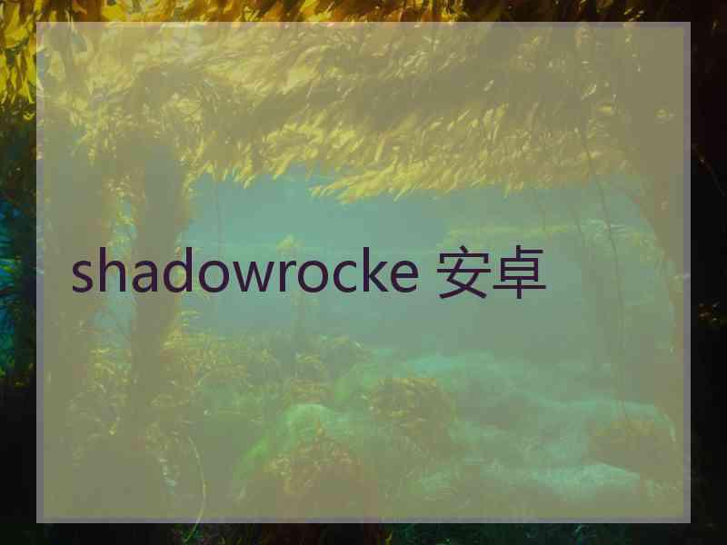 shadowrocke 安卓