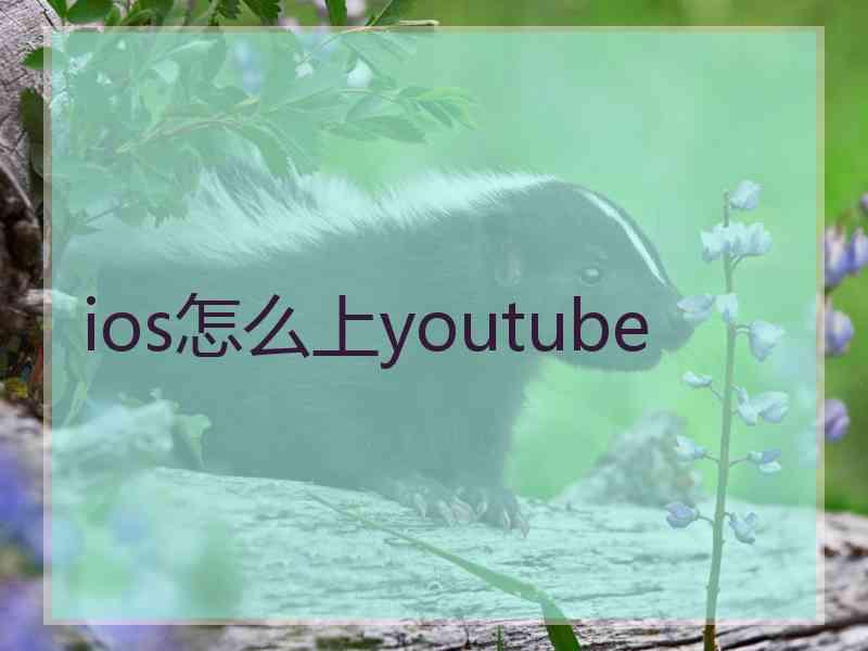 ios怎么上youtube