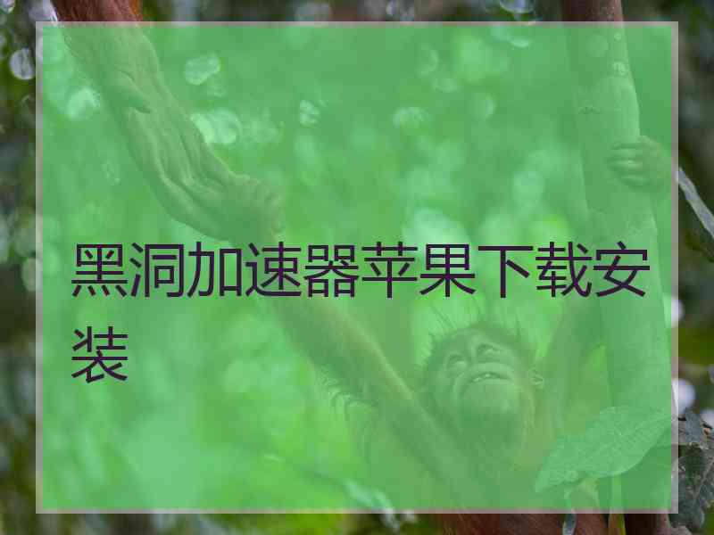 黑洞加速器苹果下载安装