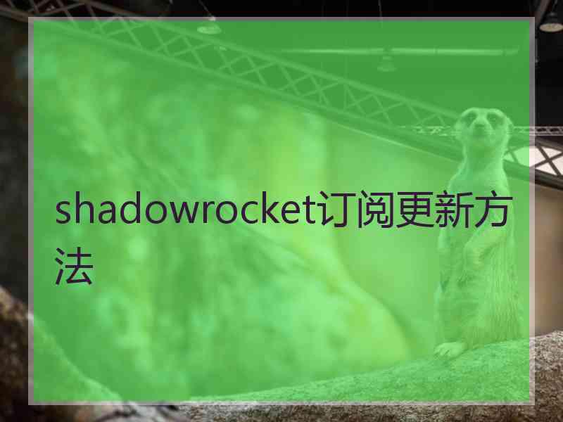 shadowrocket订阅更新方法