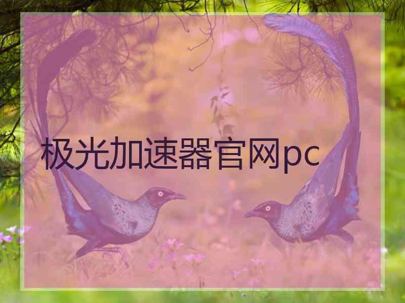 极光加速器官网pc