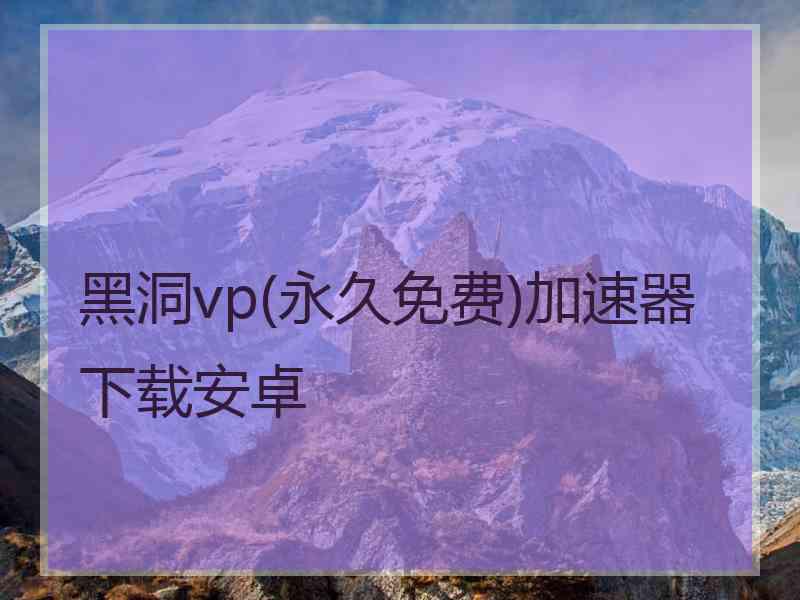 黑洞vp(永久免费)加速器下载安卓