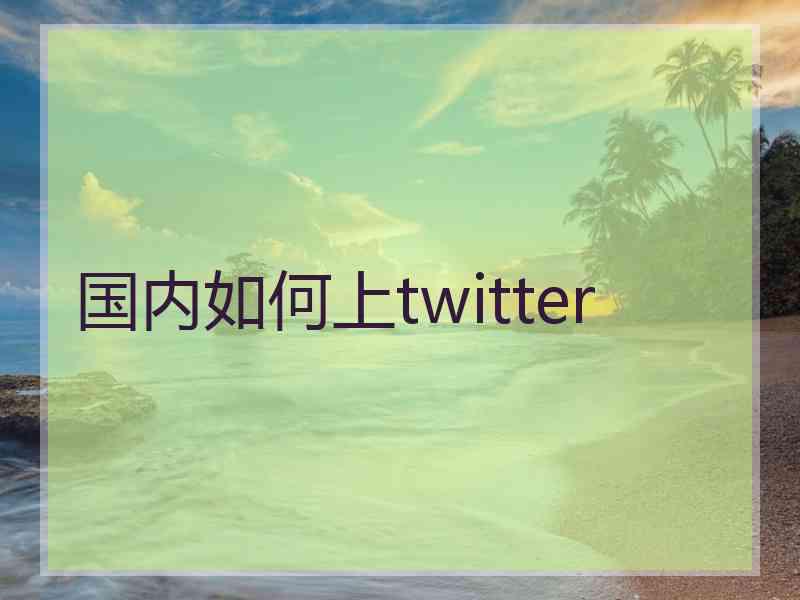 国内如何上twitter