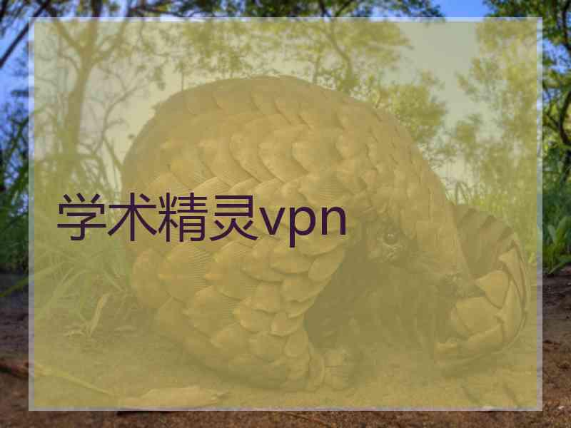 学术精灵vpn