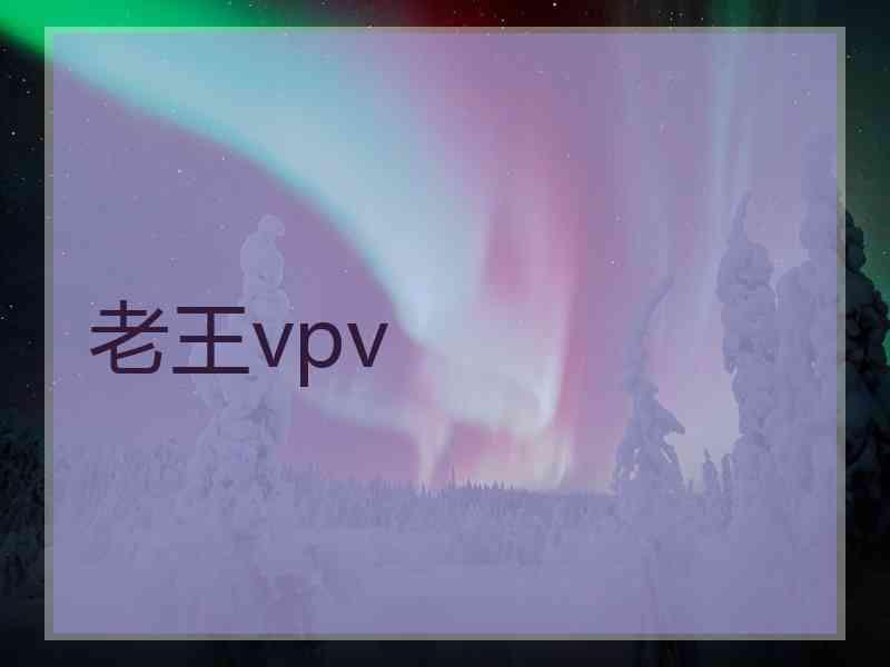 老王vpv