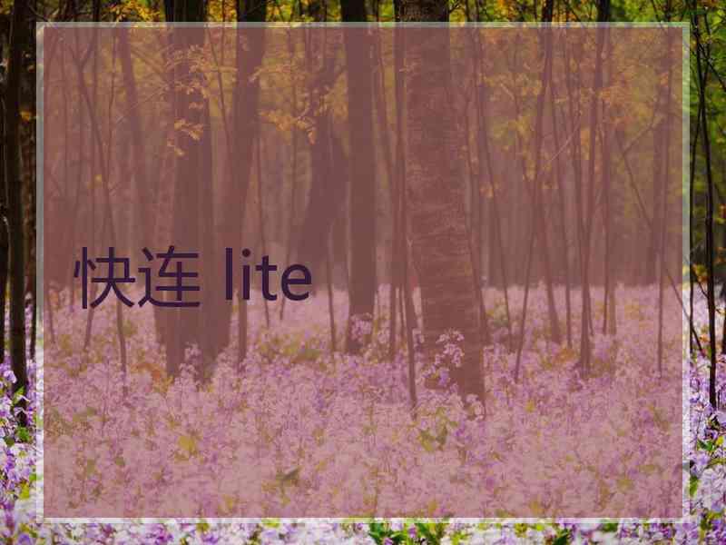 快连 lite