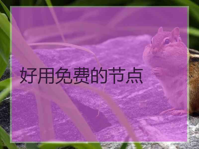 好用免费的节点