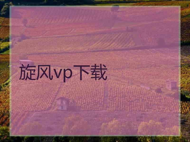 旋风vp下载