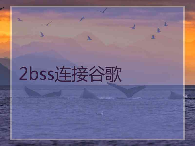 2bss连接谷歌