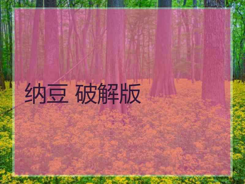 纳豆 破解版