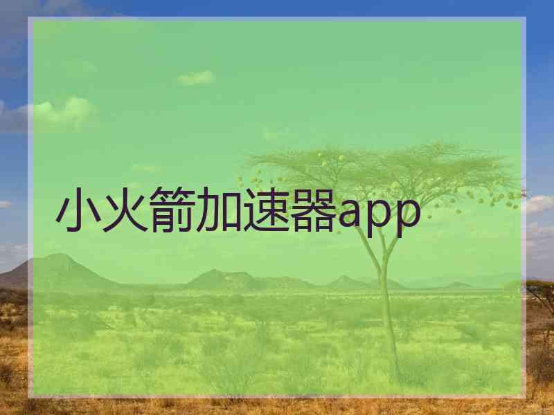 小火箭加速器app