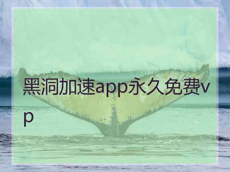 黑洞加速app永久免费vp