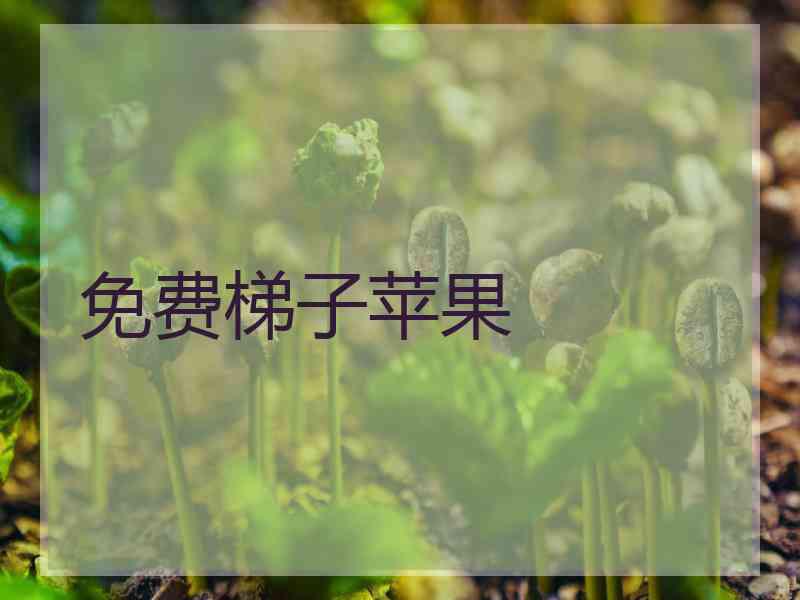 免费梯子苹果