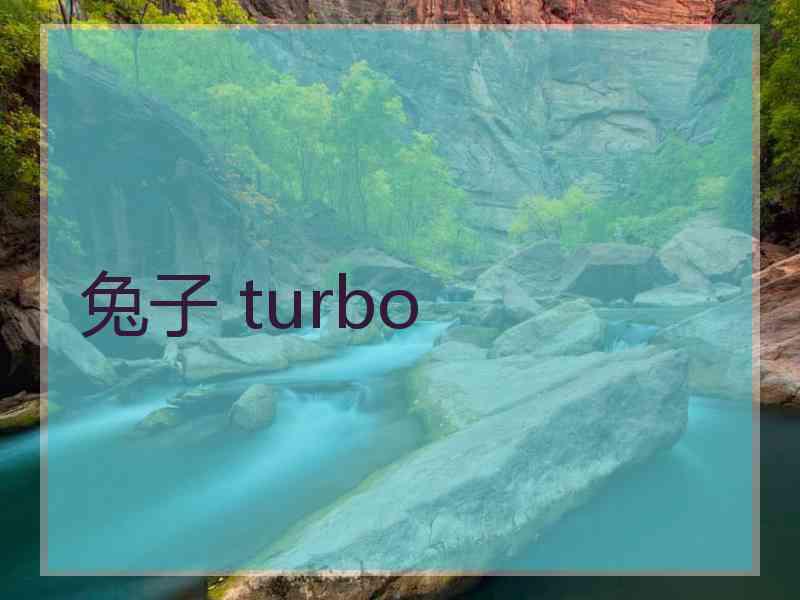 兔子 turbo