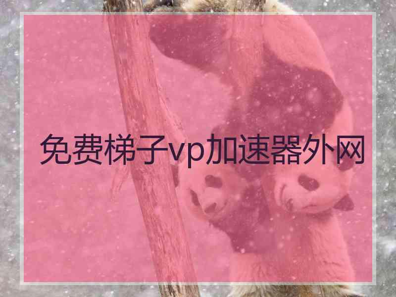 免费梯子vp加速器外网