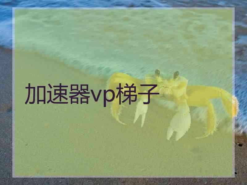 加速器vp梯子