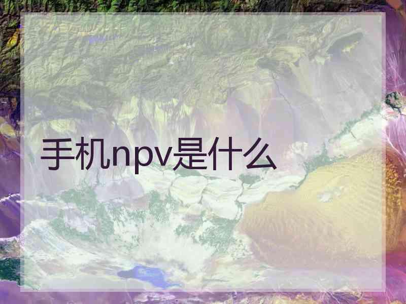 手机npv是什么