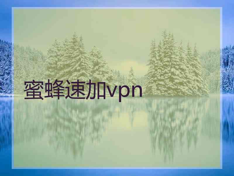 蜜蜂速加vpn