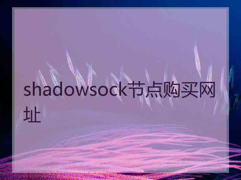 shadowsock节点购买网址