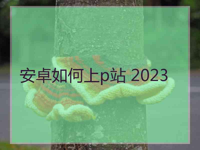 安卓如何上p站 2023