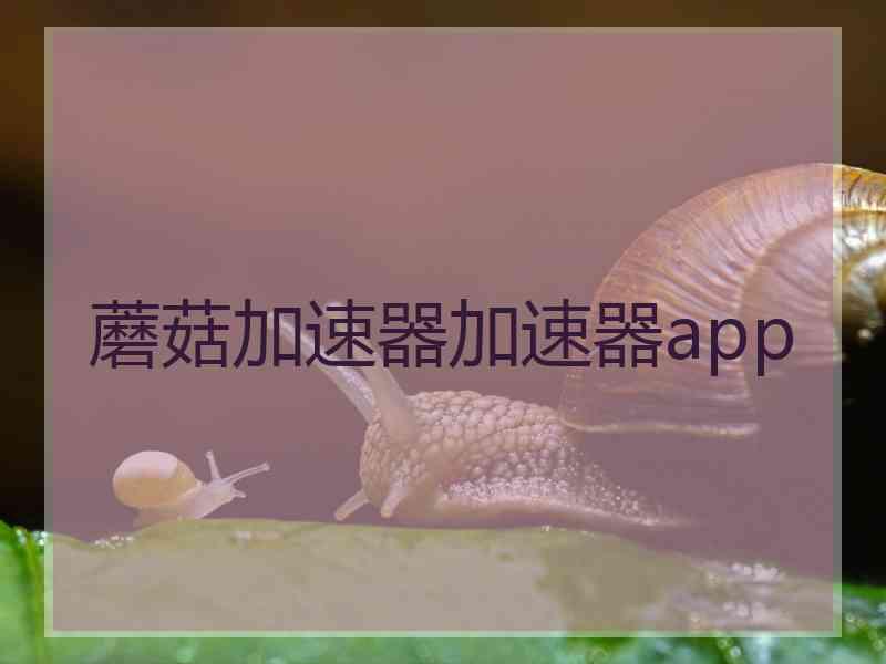 蘑菇加速器加速器app