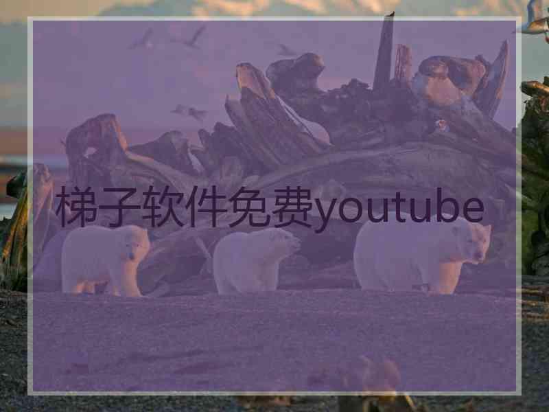 梯子软件免费youtube