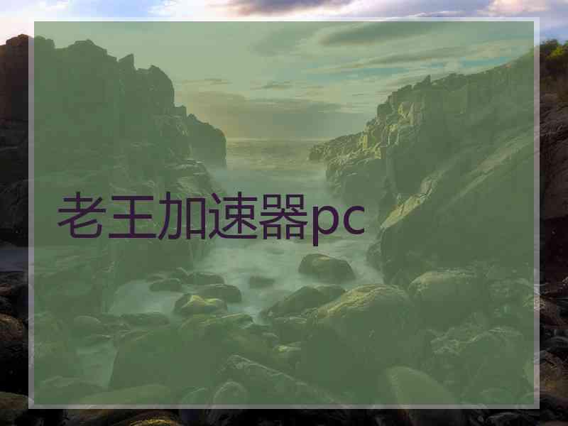 老王加速器pc