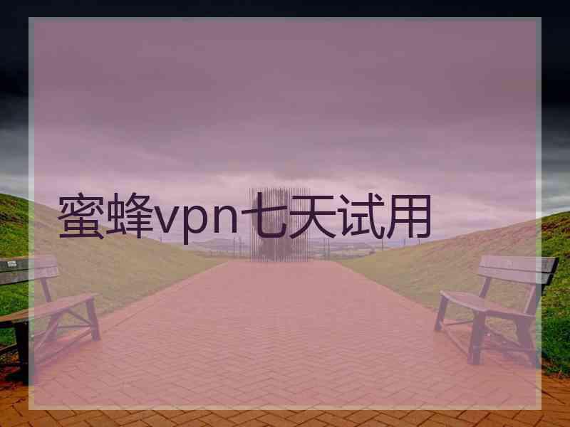 蜜蜂vpn七天试用