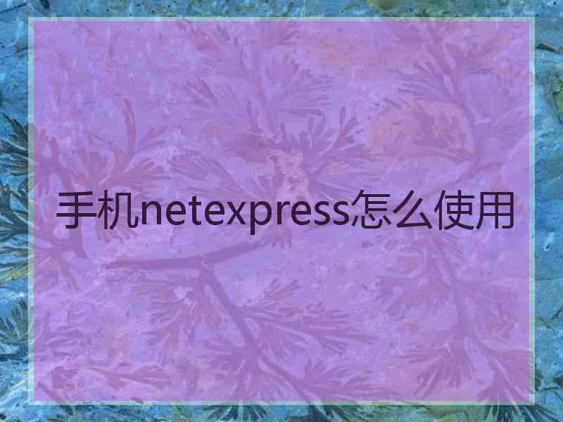 手机netexpress怎么使用