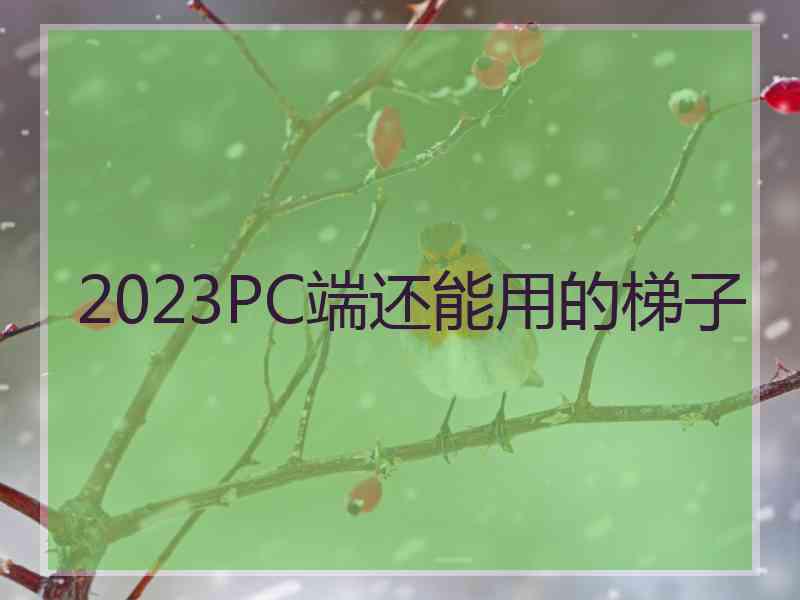 2023PC端还能用的梯子