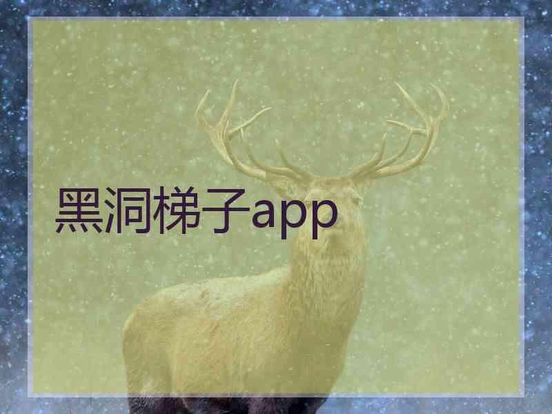 黑洞梯子app