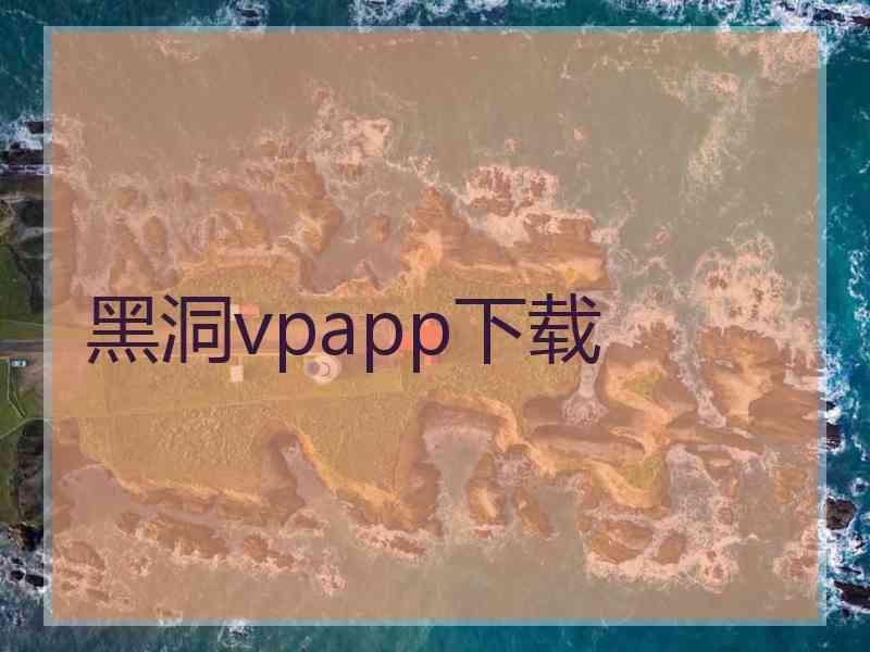 黑洞vpapp下载