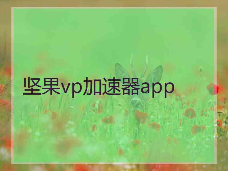 坚果vp加速器app