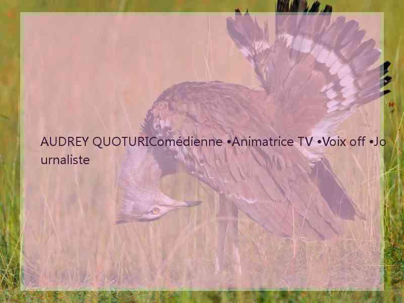 AUDREY QUOTURIComédienne •Animatrice TV •Voix off •Journaliste