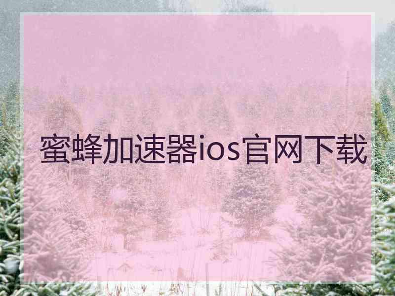 蜜蜂加速器ios官网下载